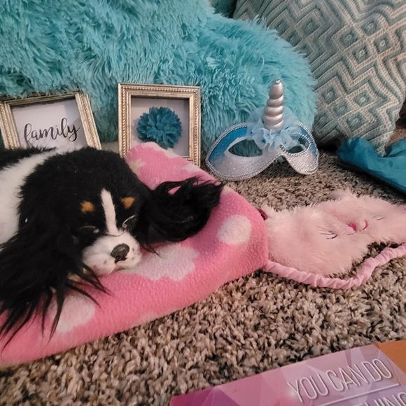 two twin plush twin beds with Mattress/boxspring, karaoke, toys, furniture &more - Picture 8 of 16